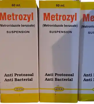 Metrozyme (Metronidazole Benzoate) Suspension - 60 ml