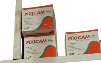 Pixicam (Piroxicam) 20 mg – 20 Capsules (Assumed)